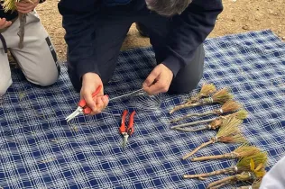Alumnes de la PIN 3 de Jesuïtes Lleida en una sessió de bosc en el marc del projecte Claver Natura