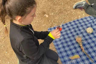 Alumnes de la PIN 3 de Jesuïtes Lleida en una sessió de bosc en el marc del projecte Claver Natura
