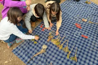 Alumnes de la PIN 3 de Jesuïtes Lleida en una sessió de bosc en el marc del projecte Claver Natura