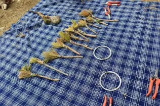 Alumnes de la PIN 3 de Jesuïtes Lleida en una sessió de bosc en el marc del projecte Claver Natura