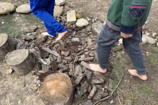 Alumnes de la PIN 3 de Jesuïtes Lleida en una sessió de bosc en el marc del projecte Claver Natura