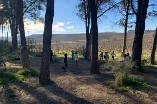 Alumnes de la PIN 3 de Jesuïtes Lleida en una sessió de bosc en el marc del projecte Claver Natura