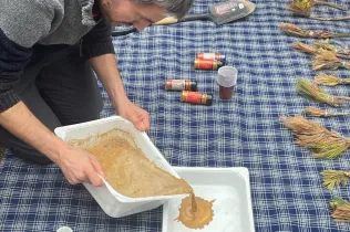 Alumnes de la PIN 3 de Jesuïtes Lleida en una sessió de bosc en el marc del projecte Claver Natura