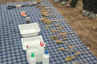 Alumnes de la PIN 3 de Jesuïtes Lleida en una sessió de bosc en el marc del projecte Claver Natura