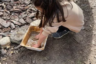 Alumnes de la PIN 3 de Jesuïtes Lleida en una sessió de bosc en el marc del projecte Claver Natura