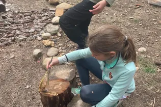 Alumnes de la PIN 3 de Jesuïtes Lleida en una sessió de bosc en el marc del projecte Claver Natura