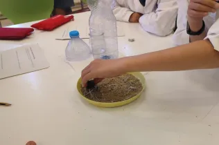 Projecte-CREA-NEI-SantIgnasi-JesuitesSarrià