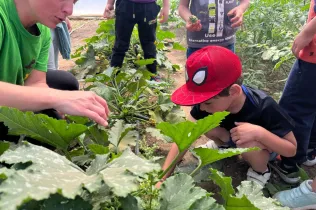 Alumnes de MOPI 4 durant la seva sortida a la granja escola La Manreana de Juneda