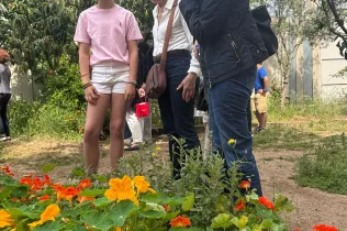 NEI-Primària-SantIgnasi-Sarria-AulaNatura