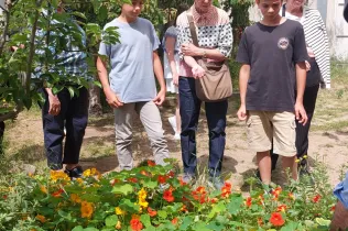 NEI-Primària-SantIgnasi-Sarria-AulaNatura