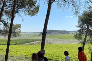 Famílies participant del Taller Natura al bosc del Claver amb els seus fills i filles de fins 3 anys