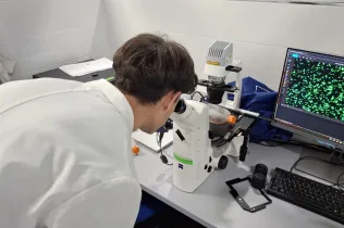 biomedicina virtual bat