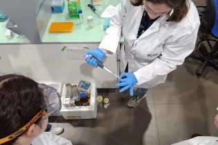 biomedicina virtual bat