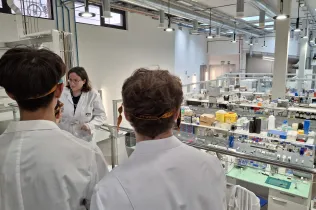 biomedicina virtual bat