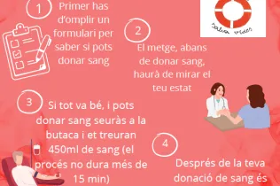 Inforgrafia sobra la donació de sang feta per un grup d'alumnes de 5è de primària-NEI en el m arc del projecte Claver Natura