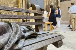 visita serveis centrals santa Anna