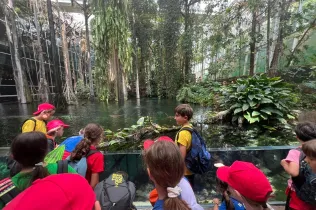 NEI Sant Ignasi - ERASMUS+