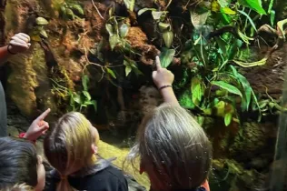 Cosmocaixa-infantil-MOPI5-SantIgnasi