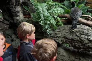 Cosmocaixa-infantil-MOPI5-SantIgnasi