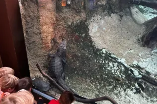 Cosmocaixa-infantil-MOPI5-SantIgnasi