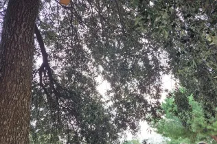 Activitat al parc amb l'Àrea Metropolitana de Barcelona