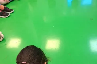 Inicis Kostka pau 3
