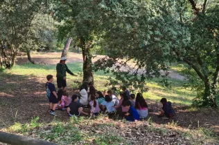 Convivències primària Kostka 3