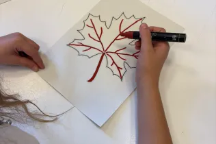 Castanyada 25 - Sant Ignasi - Jesuïtes Sarrià