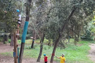 Convivències primària 7