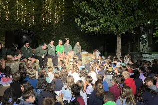 Convivències primària 5