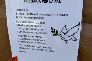 Accions Gaza - Sant Ignasi