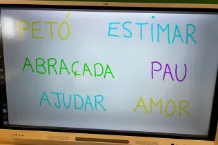 Accions Gaza - Sant Ignasi