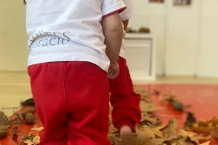 Tardor- LLar 1 Sant Ignasi