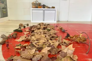 Tardor- LLar 1 Sant Ignasi