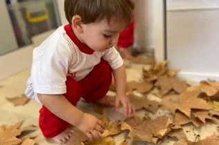 Tardor- LLar 1 Sant Ignasi