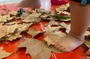 Tardor- LLar 1 Sant Ignasi