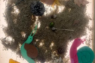 Llar 2 sant ignasi experimentacio