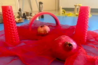 Llar 2 sant ignasi experimentacio