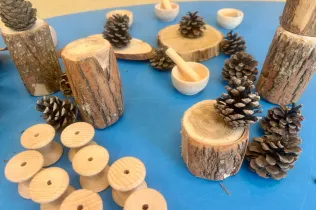 Llar 2 sant ignasi experimentacio