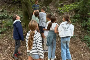 NEI6_Sisè ens mou_Jesuïtes Sarrià - Sant Ignasi