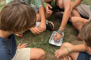 NEI6_Sisè ens mou_Jesuïtes Sarrià - Sant Ignasi