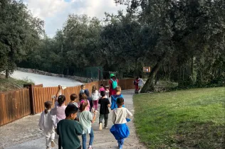 Convivències primària 11