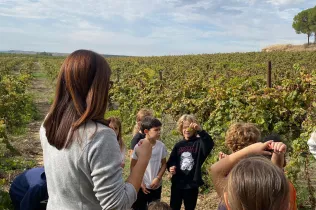 Sessió de bosc de l'alumnat de la PIN (Primària Inicial) en el marc del projecte Claver Natura