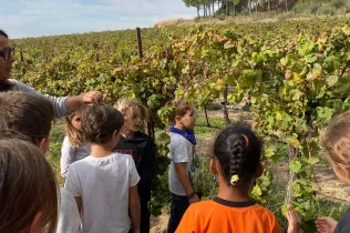 Sessió de bosc de l'alumnat de la PIN (Primària Inicial) en el marc del projecte Claver Natura