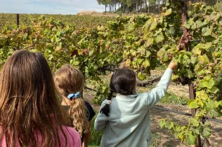 Sessió de bosc de l'alumnat de la PIN (Primària Inicial) en el marc del projecte Claver Natura