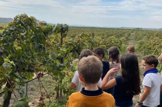Sessió de bosc de l'alumnat de la PIN (Primària Inicial) en el marc del projecte Claver Natura