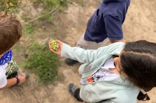 Sessió de bosc de l'alumnat de la PIN (Primària Inicial) en el marc del projecte Claver Natura