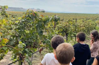 Sessió de bosc de l'alumnat de la PIN (Primària Inicial) en el marc del projecte Claver Natura