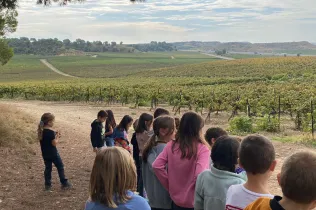 Sessió de bosc de l'alumnat de la PIN (Primària Inicial) en el marc del projecte Claver Natura