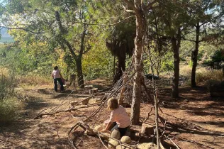 Sessió de bosc de l'alumnat de la PIN (Primària Inicial) en el marc del projecte Claver Natura